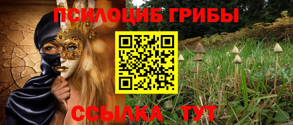 Галлюциногенные грибы мухоморы  где купить наркотик  Рославль  Вход с VPN 