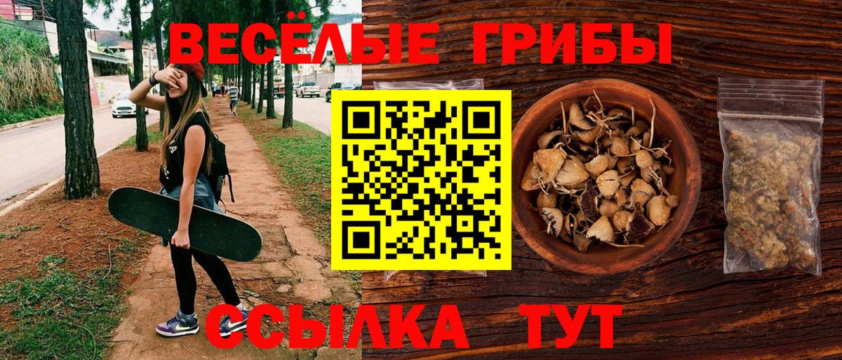 Галлюциногенные грибы мицелий Рославль
